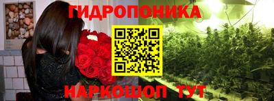 PSILOCYBIN Можайск
