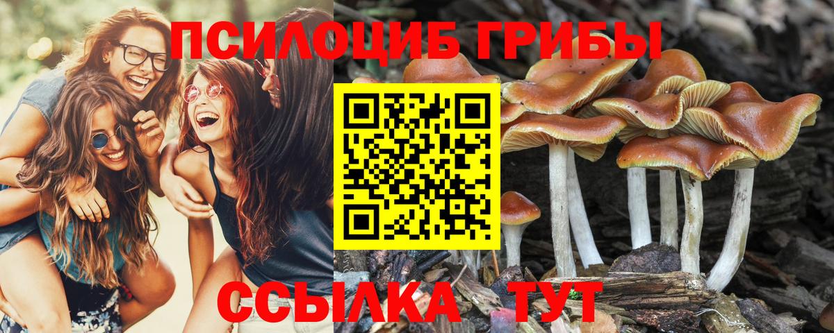 Псилоцибиновые грибы MAGIC MUSHROOMS  Вход с VPN  Великий Новгород 