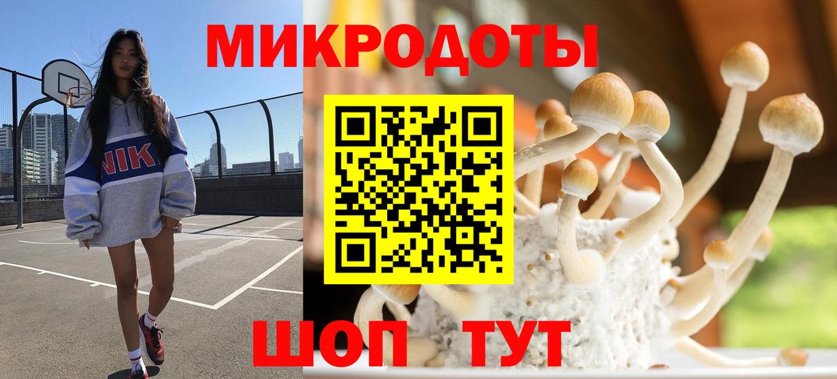 Галлюциногенные грибы Psilocybine cubensis Великий Новгород